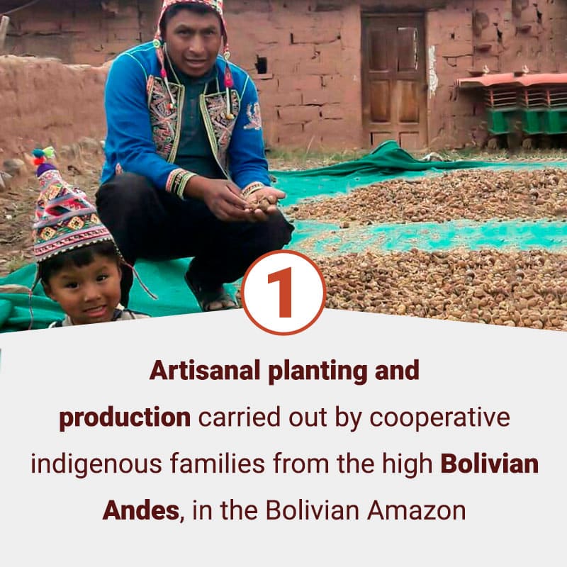 card-bolivia-1-mobile