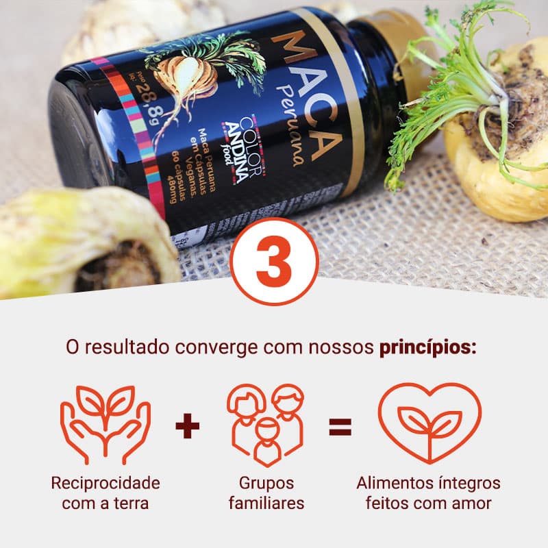 etapas-e-diferenciais-maca-amarela-mobile-2