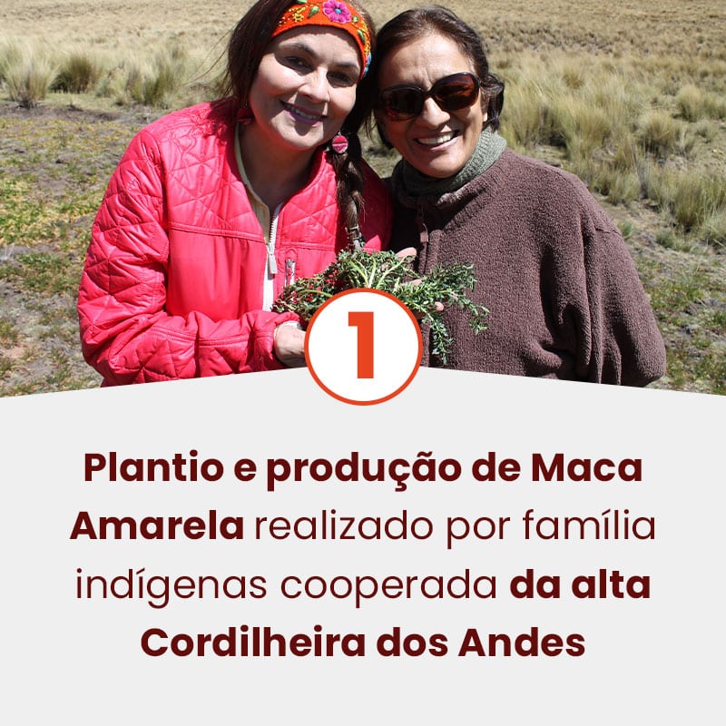 etapas-e-diferenciais-maca-amarela-mobile
