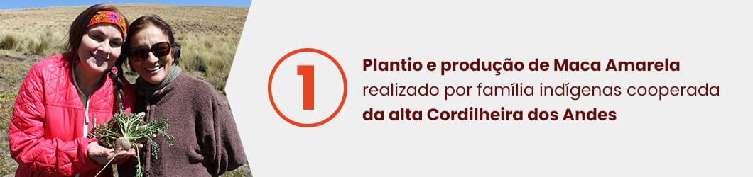 etapas-e-diferenciais-maca-amarela