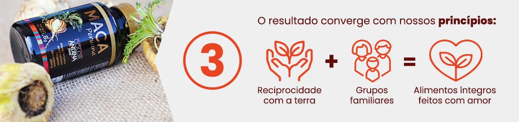 etapas-e-diferenciais-maca-amarela2