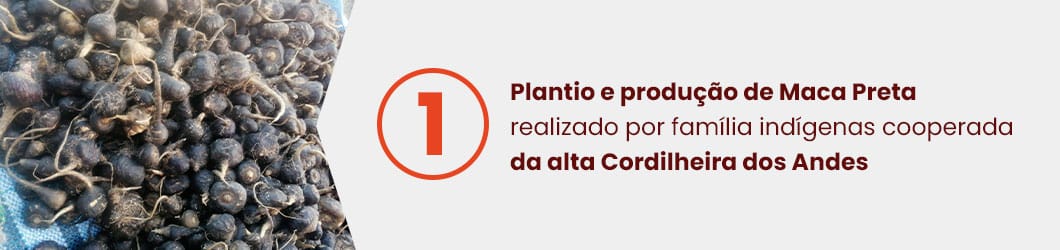 etapas-e-diferenciais-maca-preta-1-2