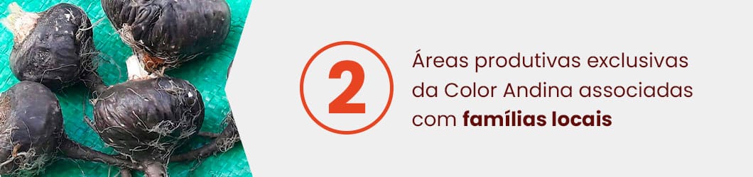 etapas-e-diferenciais-maca-preta-2-2
