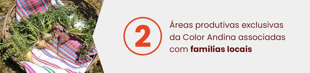 etapas-e-diferenciais-maca-preta-2