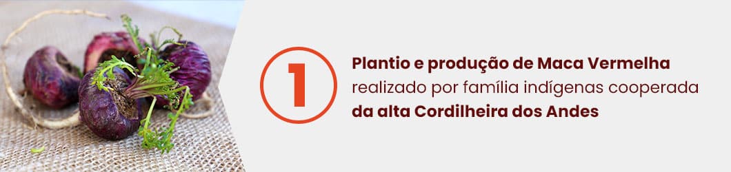etapas-e-diferenciais-maca-vermelha-2