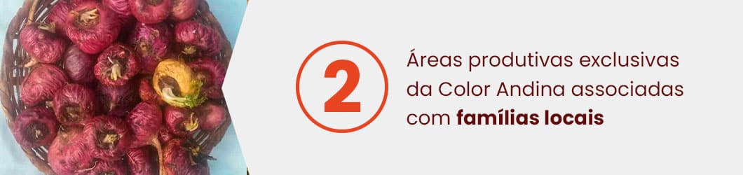 etapas-e-diferenciais-maca-vermelha-2-2