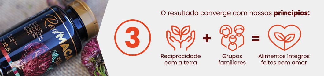 etapas-e-diferenciais-maca-vermelha-2
