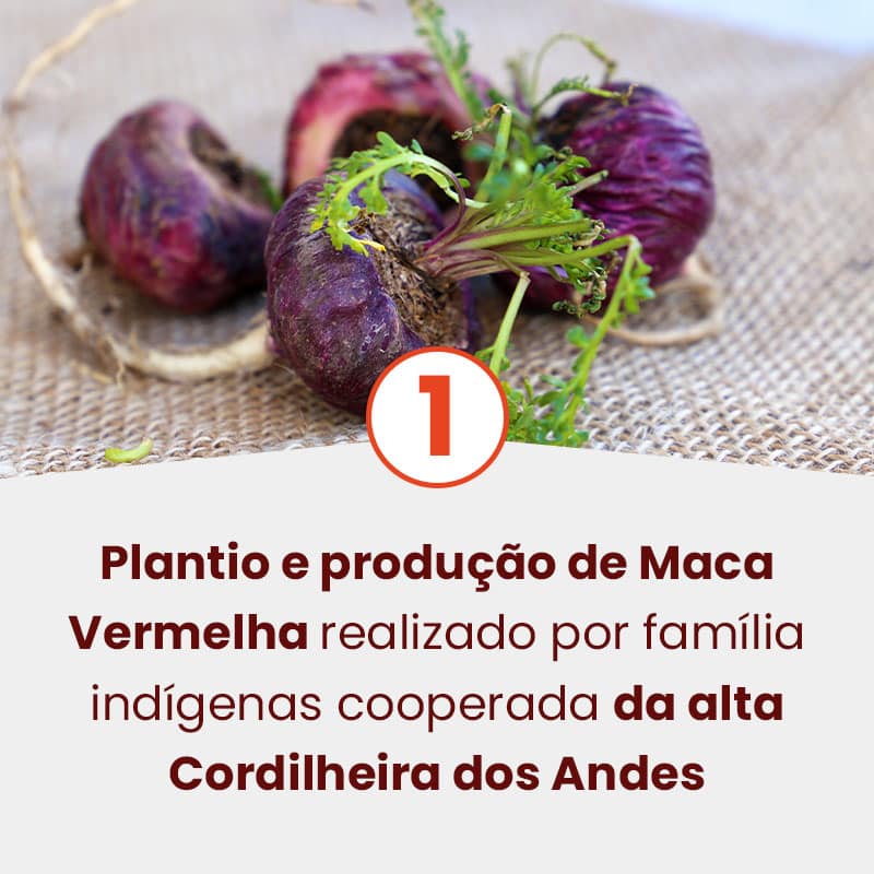etapas-e-diferenciais-maca-vermelha-mobile-1-2
