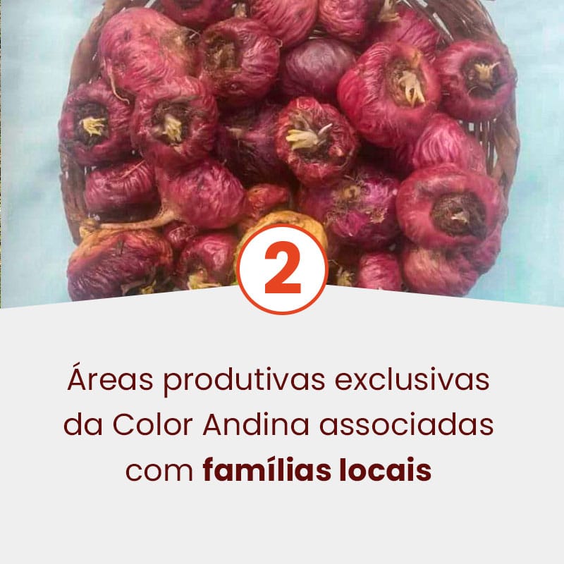 etapas-e-diferenciais-maca-vermelha-mobile-2-2