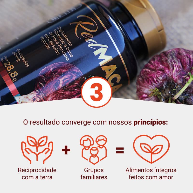 etapas-e-diferenciais-maca-vermelha-mobile-2