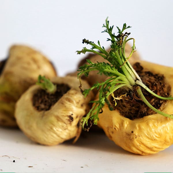 maca peruana amarela color andina foodsnova-4