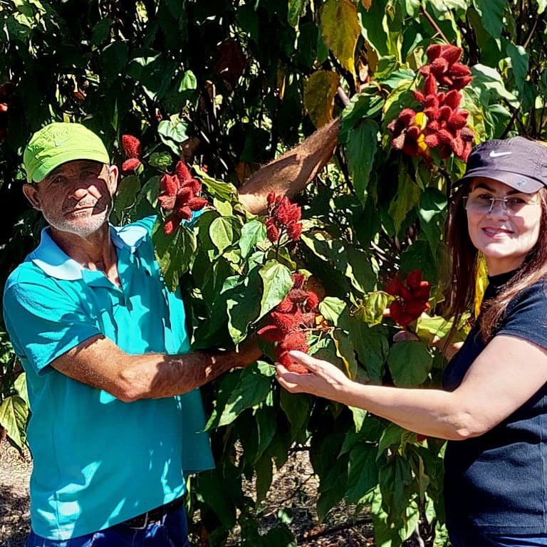 Colorau: o tempero que também dá cor aos alimentos