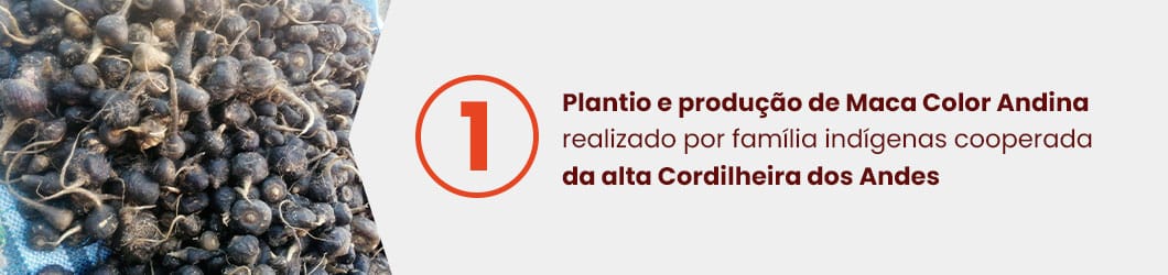 diferenciais-macabites-1