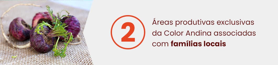 diferenciais-macabites-2